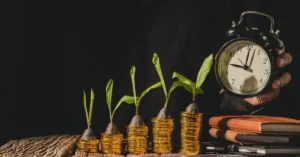 Silk Investments Africa Bond