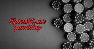 Tipbet88.site gambling